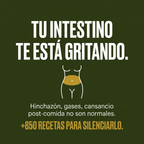 +850 Recetas Anti Inflamatorias - De Hinchada a Liviana