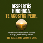 +850 Recetas Anti Inflamatorias - De Hinchada a Liviana