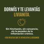 +850 Recetas Anti Inflamatorias - De Hinchada a Liviana